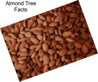 Almond Tree Facts