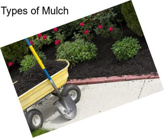 Types of Mulch