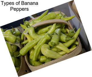 Types of Banana Peppers