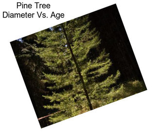 Pine Tree Diameter Vs. Age