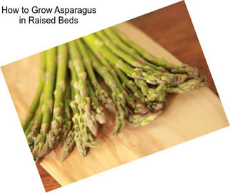 How to Grow Asparagus in Raised Beds