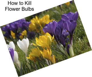 How to Kill Flower Bulbs