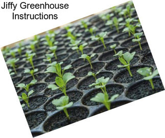 Jiffy Greenhouse Instructions