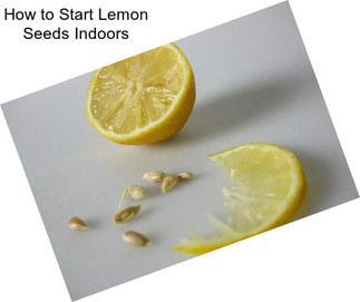 How to Start Lemon Seeds Indoors