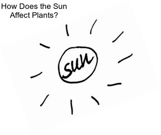 How Does the Sun Affect Plants?