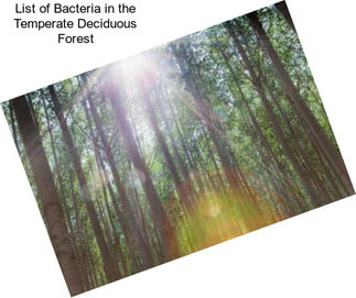 List of Bacteria in the Temperate Deciduous Forest