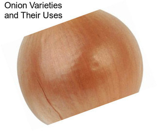 Onion Varieties and Their Uses