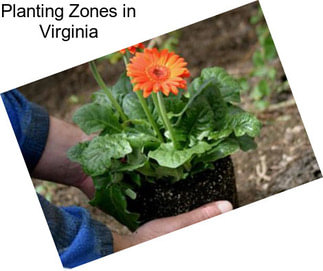 Planting Zones in Virginia