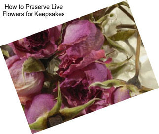 How to Preserve Live Flowers for Keepsakes