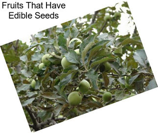 Fruits That Have Edible Seeds