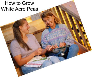 How to Grow White Acre Peas