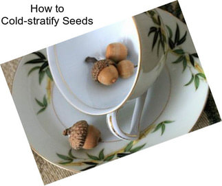 How to Cold-stratify Seeds