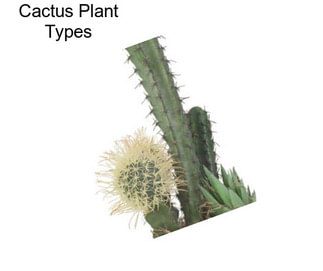 Cactus Plant Types