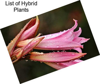 List of Hybrid Plants