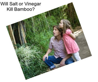 Will Salt or Vinegar Kill Bamboo?