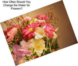 How Often Should You Change the Water for Flowers?