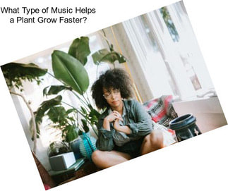 What Type of Music Helps a Plant Grow Faster?