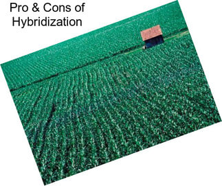 Pro & Cons of Hybridization