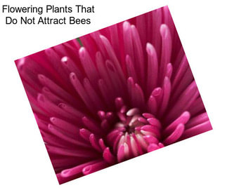 Flowering Plants That Do Not Attract Bees