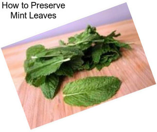 How to Preserve Mint Leaves