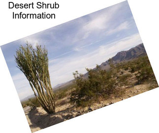 Desert Shrub Information