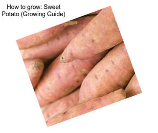 How to grow: Sweet Potato (Growing Guide)