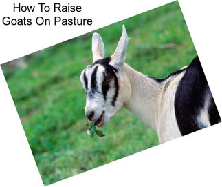 How To Raise Goats On Pasture