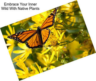 Embrace Your Inner Wild With Native Plants