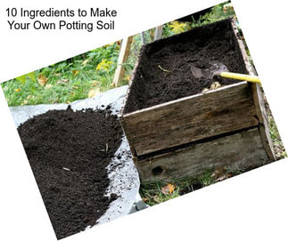 10 Ingredients to Make Your Own Potting Soil