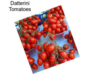 Datterini Tomatoes