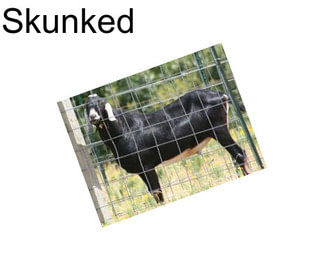 Skunked