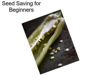 Seed Saving for Beginners