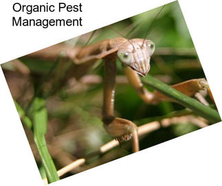 Organic Pest Management