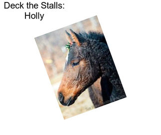 Deck the Stalls: Holly