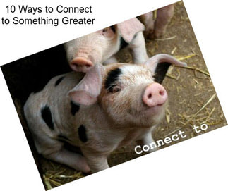 10 Ways to Connect to Something Greater