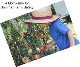 4 Mom-isms for Summer Farm Safety