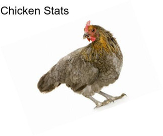 Chicken Stats