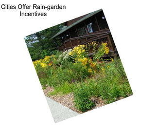 Cities Offer Rain-garden Incentives