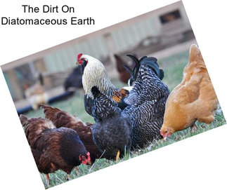 The Dirt On Diatomaceous Earth