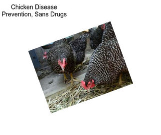 Chicken Disease Prevention, Sans Drugs