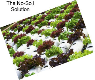 The No-Soil Solution