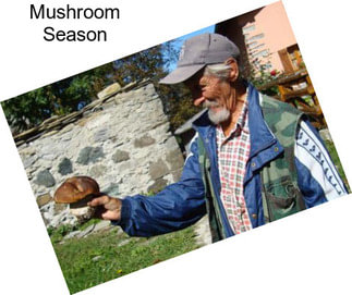 Mushroom Season