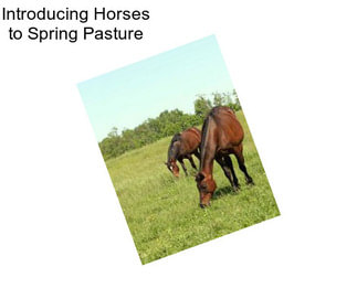 Introducing Horses to Spring Pasture