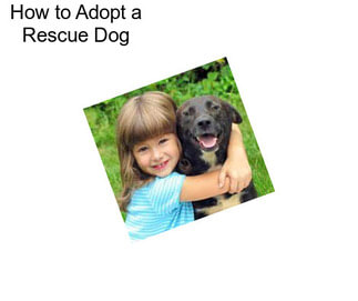 How to Adopt a Rescue Dog