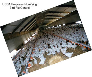 USDA Proposes Horrifying Bird-Flu Control