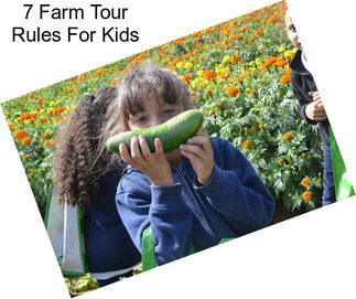 7 Farm Tour Rules For Kids