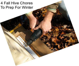 4 Fall Hive Chores To Prep For Winter