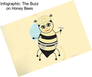 Infographic: The Buzz on Honey Bees