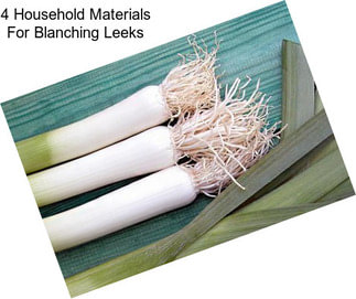 4 Household Materials For Blanching Leeks