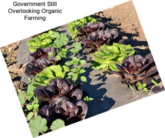 Government Still Overlooking Organic Farming